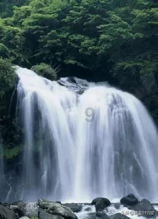 腐草化萤