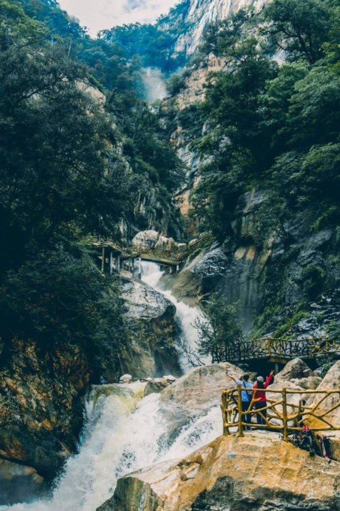 无休止的树